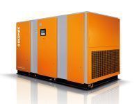 Компрессор винтовой Ekomak ЕКО 250 SСD VST 8